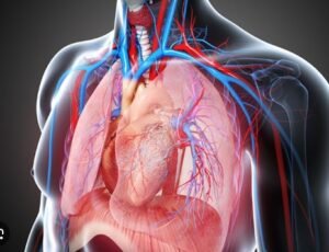 Best Thoracic Intervention Treatment in Faridabad