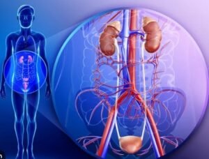 Best Genitourinary Interventions in Sector 21C, Faridabad