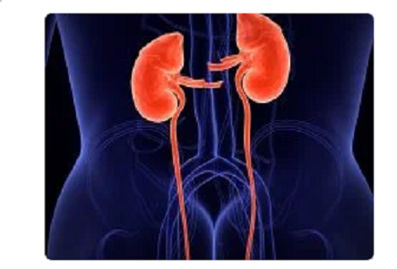 Genitourinary Interventions Doctor in Gurugram