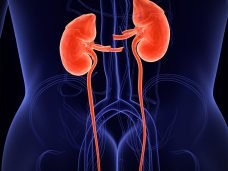 2246580749-1024x1024